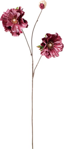 ベルベットポピースプレーの画像