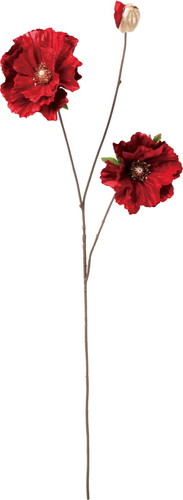 ベルベットポピースプレーの画像