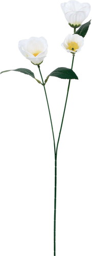 椿スプレーの画像