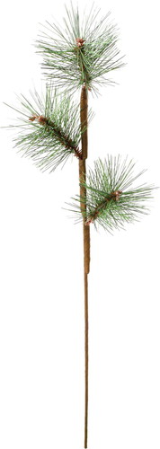 パインスプレーの画像