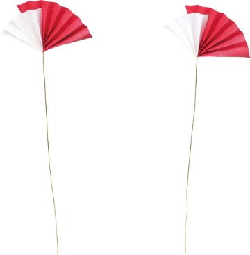 二色扇ピック2P W/Rの画像