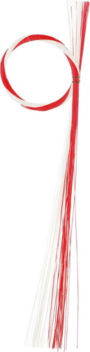 二色水引ロングベース R/Wの画像