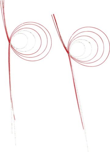 波紋水引2P S RWGの画像