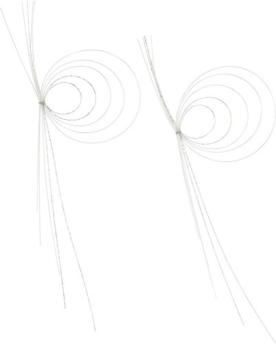 波紋水引2P S WWGの画像