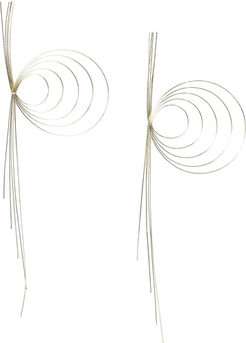 波紋水引2P S LGOの画像