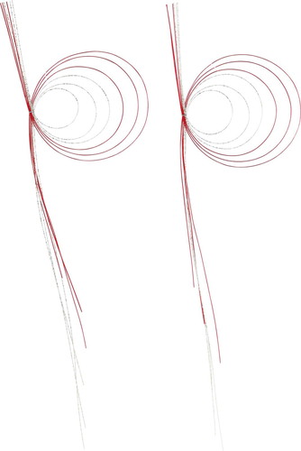 波紋水引2P M RWGの画像