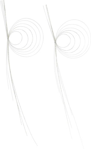 波紋水引2P M WWGの画像