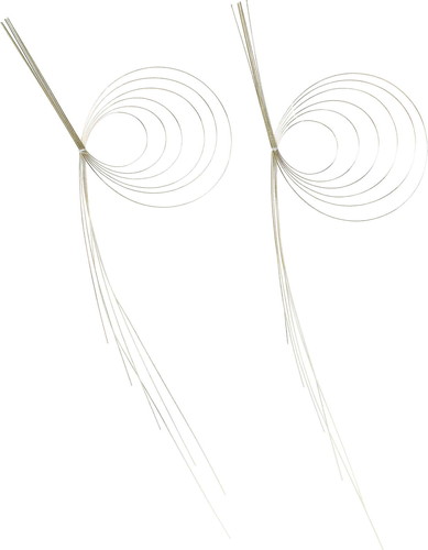 波紋水引2P M LGOの画像