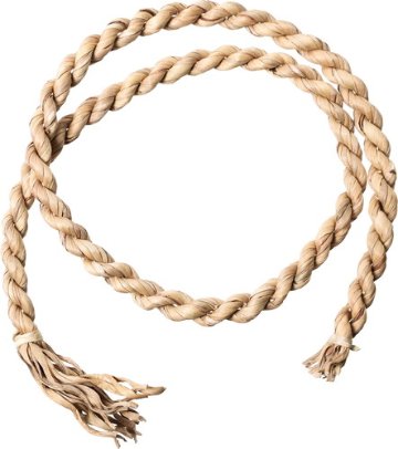 ホテイアオイゴボウ180cm無垢の画像