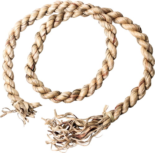 ホテイアオイ太ゴボウ180cm無垢の画像