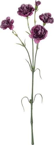 カーネーションスプレー【ラベンダーモーウﾞ】の画像