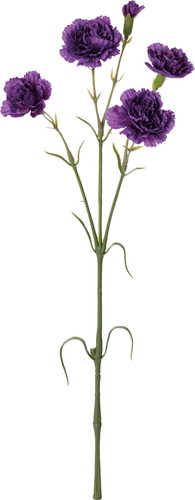 カーネーションスプレー【ラベンダー】の画像