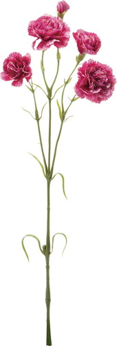 カーネーションスプレー【モーブ】の画像