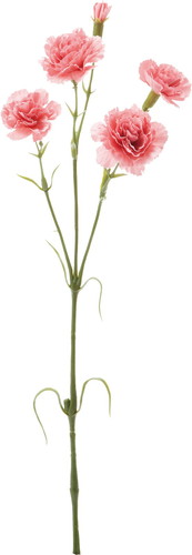 カーネーションスプレー【ピンク】の画像
