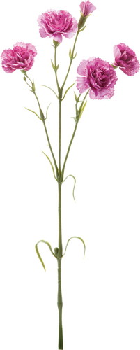 カーネーションスプレー【パープル】の画像