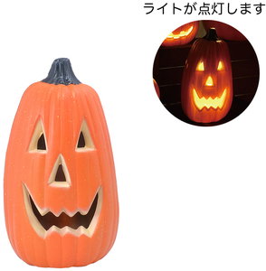 HWディスプレイライトの画像