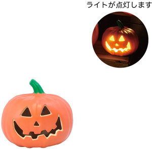 HWディスプレイライトの画像