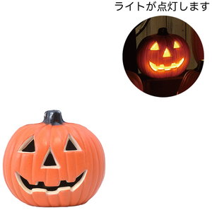 HWディスプレイライトの画像