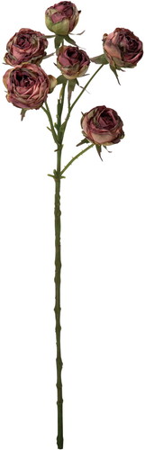 ドライローズスプレー【バーガンディー】の画像