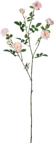 イングリッシュローズブランチ【ライトピンク】の画像