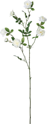 イングリッシュローズブランチ【ホワイト】の画像