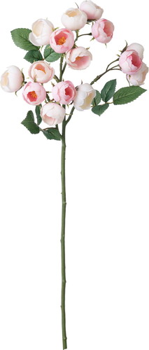 ブルーミングローズスプレー【ライトピンク】の画像