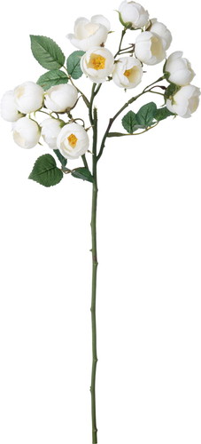 ブルーミングローズスプレー【ホワイト】の画像