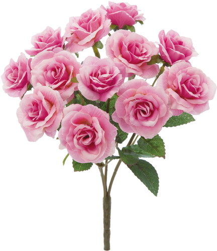 ミニローズブッシュ【ピンク】の画像