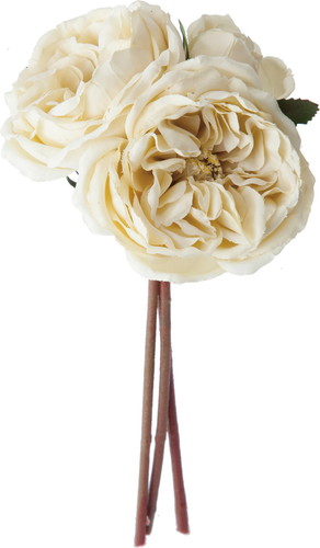 ドライオールドローズバンドル【ベージュ】の画像