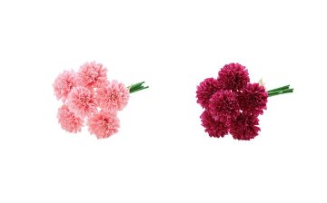 [A-34941_015D]ﾎﾟﾝﾎﾟﾝﾏﾑﾊﾞﾝﾁ(1束6本)【ﾀﾞｽﾃｨﾜｲﾝ】の画像
