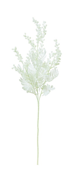 [A-35663_001]ﾐﾓｻﾞ【ﾎﾜｲﾄ】の画像