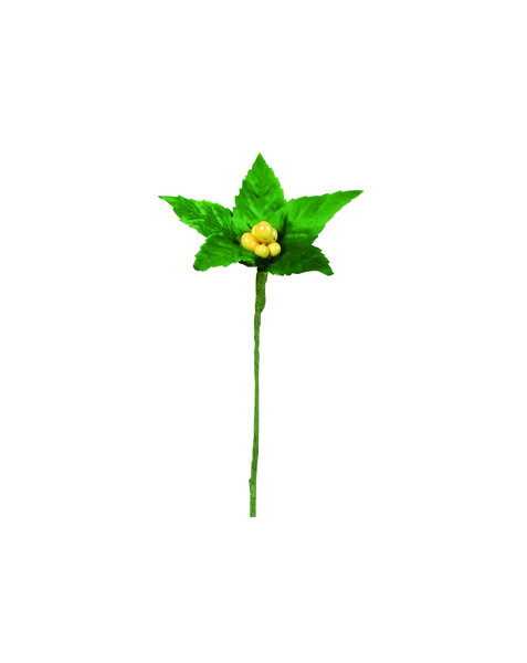 [A-74635_010]ｾﾝﾘｮｳﾋﾟｯｸ(1袋6本入)【ｲｴﾛ-】の画像