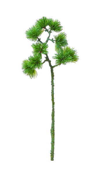 [A-74736_044]ﾊﾟｲﾝｽﾌﾟﾚｰ【ﾅﾁｭﾗﾙ】の画像