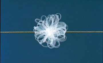 ワンタッチ24 ヤク20X20M 3 パールの画像