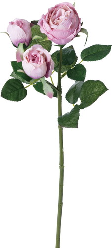 ガーデンローズスプレー【モーブ】の画像