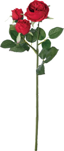 ガーデンローズスプレー【レッド】の画像