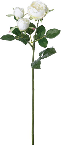 ガーデンローズスプレー【ホワイト】の画像