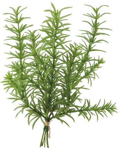 ローズマリーバンチ【グリーン】の画像