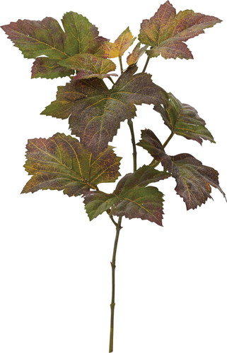 クラシカルカラーグレープピック【レッドグリーン】の画像