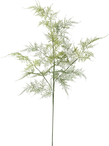 アスパラペラスプレー【グリーン】の画像