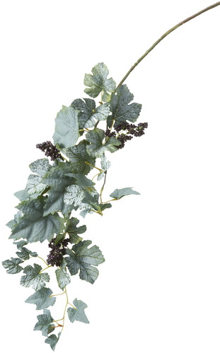 グレープベリーバイン【グリーン】の画像