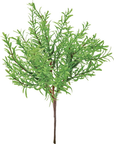 ローズマリーブッシュ【グリーン】の画像