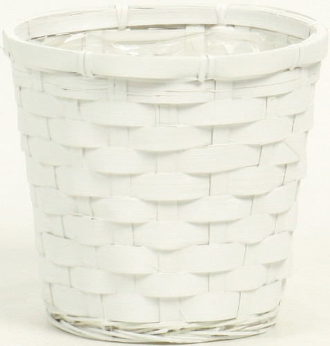 ホワイトバンブーダ鉢5号用の画像