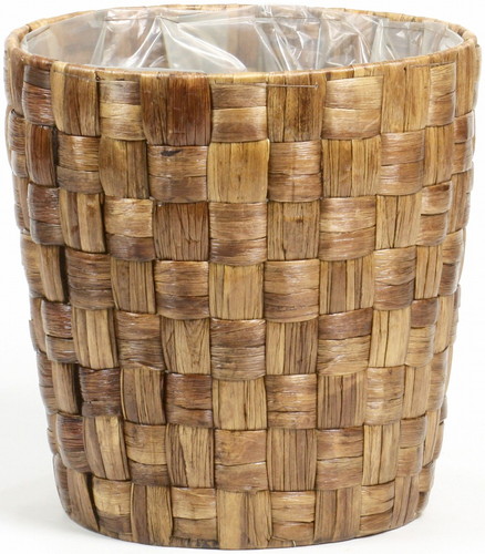 ヒヤシンスケンガイ8号用茶の画像