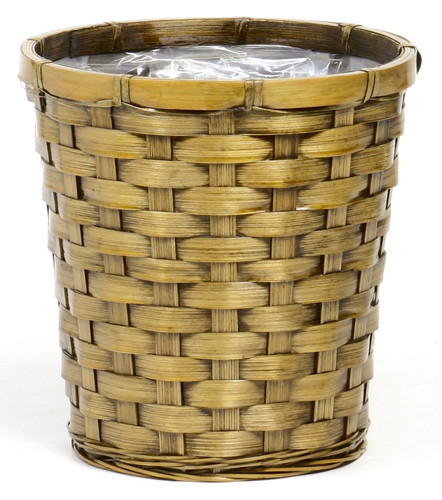 巾広バンブー ケンガイ鉢6号の画像