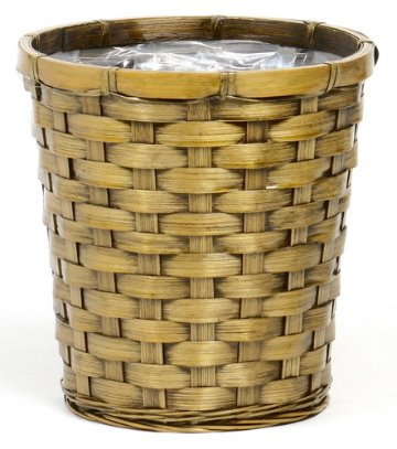 巾広バンブー ケンガイ鉢6号の画像