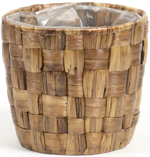 ヒヤシンスダ鉢5号用茶の画像