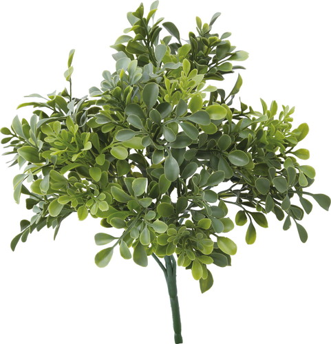 UVボックスウッドブッシュ【グリーン】の画像