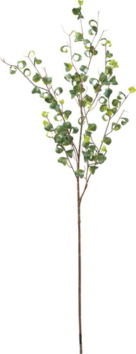 ベンジャミンバロックブランチL【グリーン】の画像