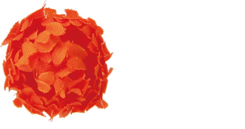 マイクロマムヘッド【オレンジ】の画像